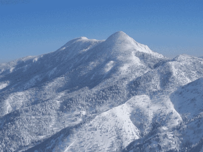 人工试管冻卵费用艾滋洗精费用鼻子试管正确用法