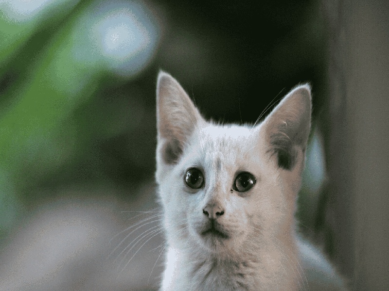 试管三超过后三代试管费用明细温州包成功的试管